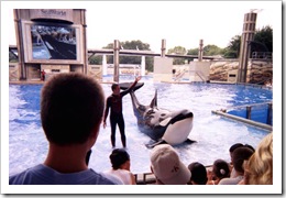 Shamu