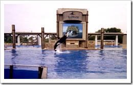 Shamu